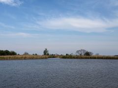 -盐城丹顶鹤湿地生态旅游区