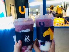 -春丽小马(济南恒隆广场店)