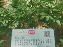 -仁和公园(顺义区)
