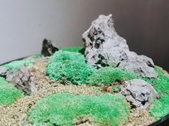 -觀芷隐轩