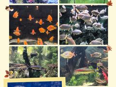 -常州海昌海洋探索馆