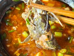 -三道苗苗鱼(三道堰老字号店)