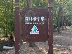 -上海海湾国家森林公园