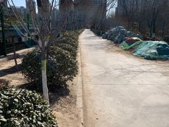 -太阳宫公园