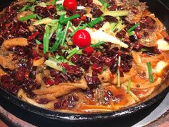 -老板恋上鱼(高新万达店)