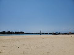 -东郊椰林