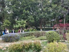 -东莞植物园