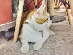 -小时光咖啡馆(北锣鼓巷店)