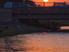 -春花秋色城市公园