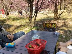 -南京市无想山景区