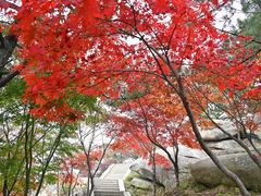 -崂山巨峰游览区