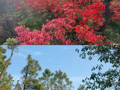 -雨花胜境