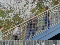 -幕燕滨江·长江观音景区