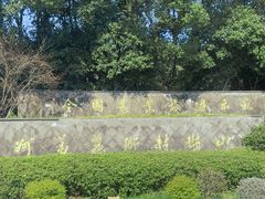-树山生态村