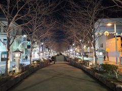 -鹤冈八幡宫