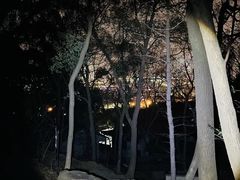 -惠山国家森林公园