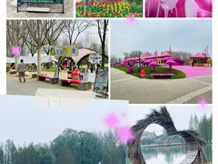 -北京国际鲜花港