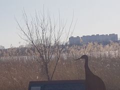 -绿堤公园