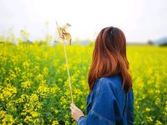 -光明小镇欢乐田园