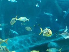 -福州罗源湾海洋世界旅游区