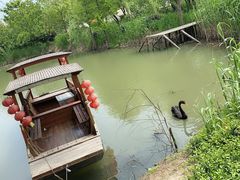 -长兴太湖图影湿地文化园