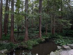 -虎跑公园