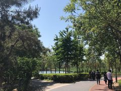 -大兴滨河森林公园