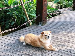 -重庆彩云湖湿地公园
