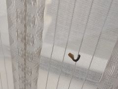 -维也纳国际酒店·上海虹桥火车站国家会展中心店