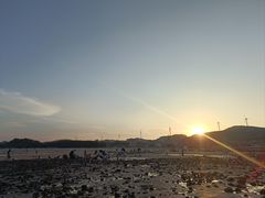 -长江澳风力发电景观区