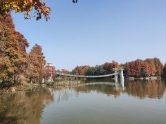 -东湖落雁景区