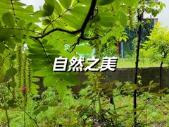 -西溪南古村落
