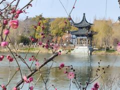 -东台西溪天仙缘景区