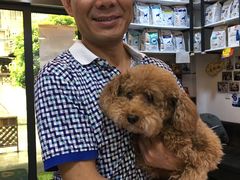 -严国平动物医院(德政总院)