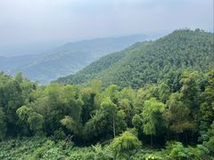 -长沙黑麋峰国家森林公园