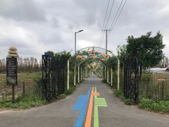 -上海长兴岛郊野公园