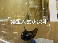 -美罗城