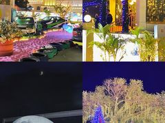 -巨鹏飞梦幻海岸