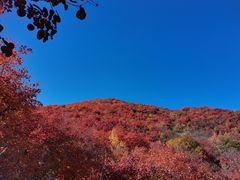 -周口店坡峰岭风景区