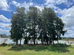 -云漫湖生态度假公园