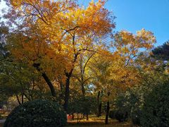 -元大都城垣遗址公园