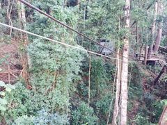 iphone_upload_pic-清迈丛林飞跃 JungleFlight