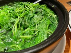 水煮菜苗-原製原味(普陀山磐龙店)