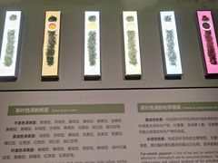 -中国茶叶博物馆(双峰馆区)