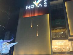 -岭南站NOVA