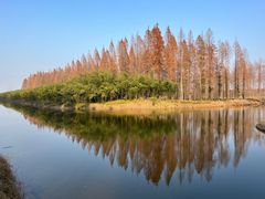 -黄海国家森林公园