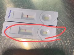 -哆趣宠物医院·眼科·内镜·急重症转诊中心(上海店)