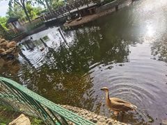 -北京美神宫艺术主题温泉酒店