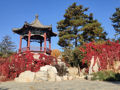 -大兴滨河森林公园
