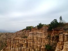 -元谋土林景区(物茂土林)
